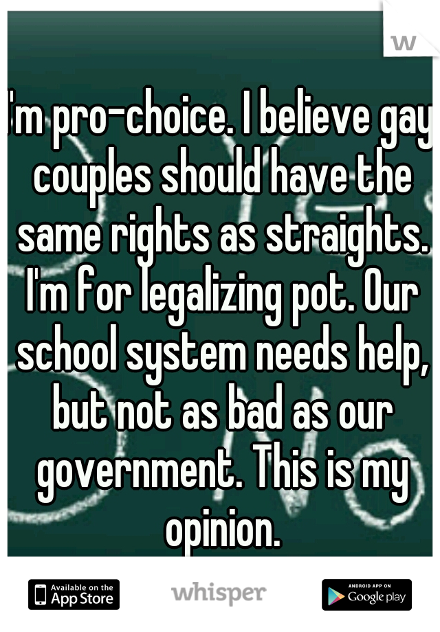 I'm pro-choice. I believe gay couples should have the same rights as straights. I'm for legalizing pot. Our school system needs help, but not as bad as our government. This is my opinion.