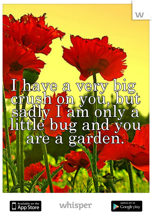 I have a very big crush on you, but sadly I am only a little bug and you are a garden.