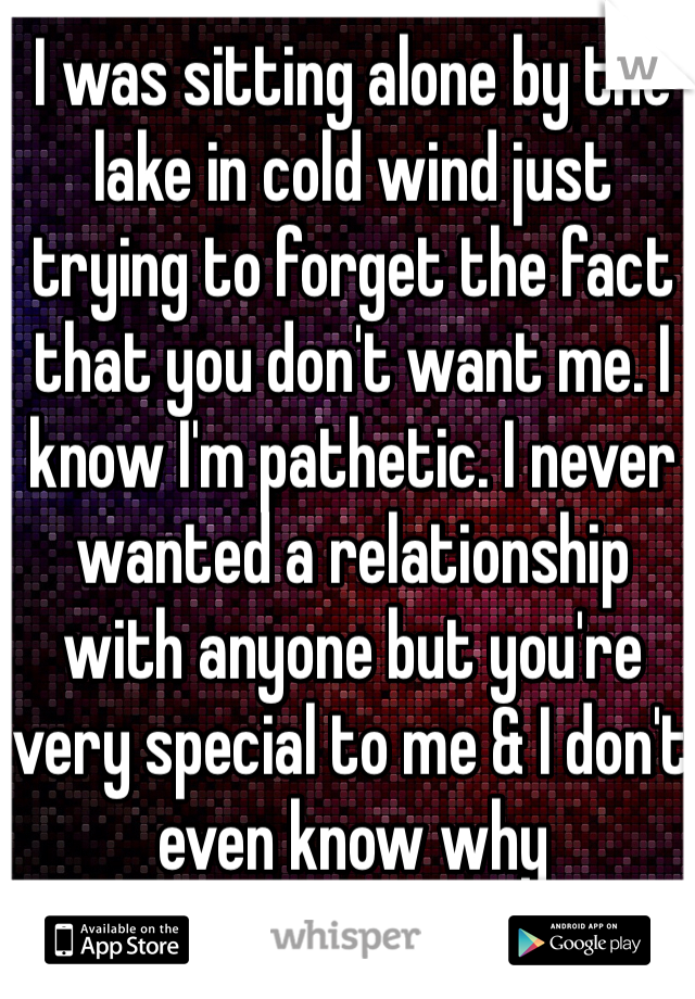 I was sitting alone by the lake in cold wind just trying to forget the fact that you don't want me. I know I'm pathetic. I never wanted a relationship with anyone but you're very special to me & I don't even know why