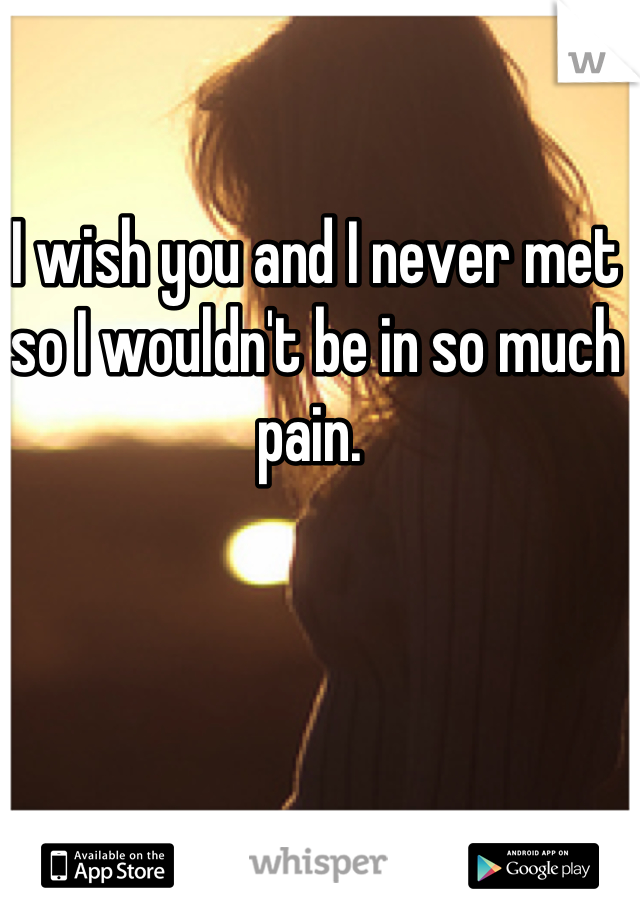 I wish you and I never met so I wouldn't be in so much pain. 