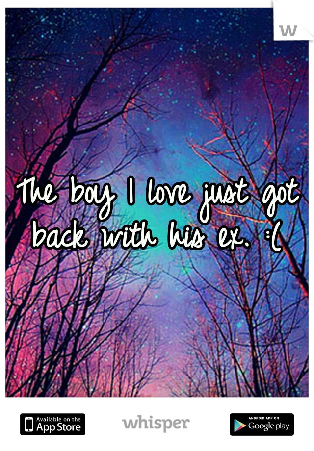 The boy I love just got back with his ex. :( 
