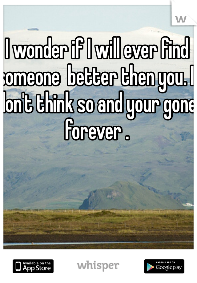 I wonder if I will ever find someone  better then you. I don't think so and your gone forever . 