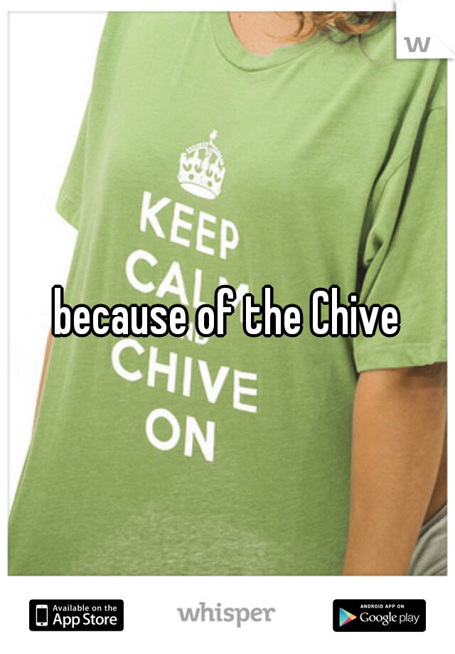 because of the Chive