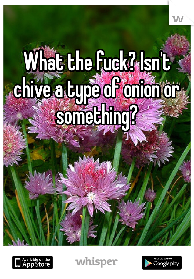 What the fuck? Isn't chive a type of onion or something?