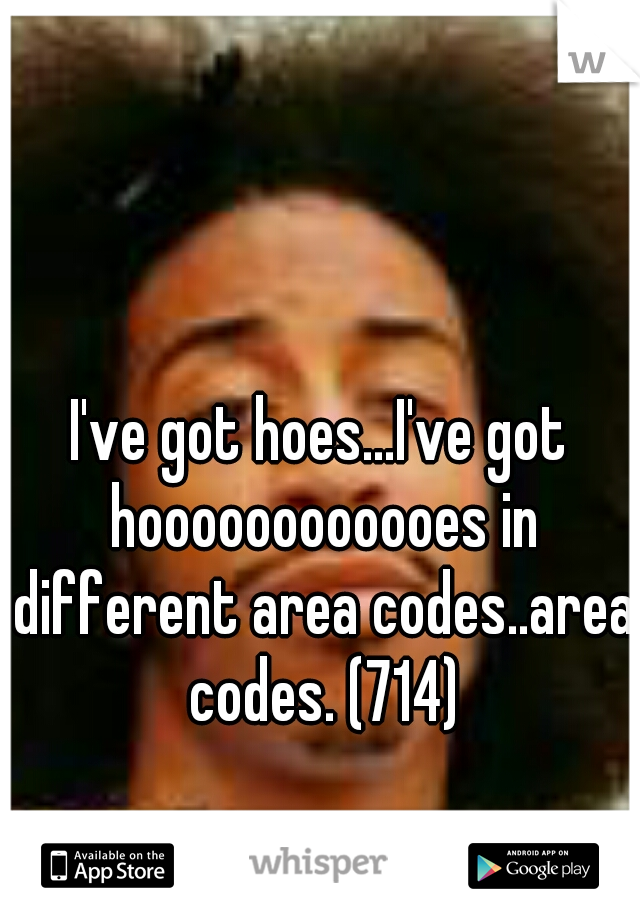 I've got hoes...I've got hoooooooooooes in different area codes..area codes. (714)