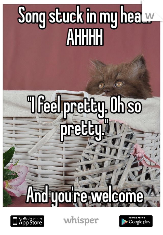 Song stuck in my head! AHHHH


"I feel pretty. Oh so pretty." 


And you're welcome 