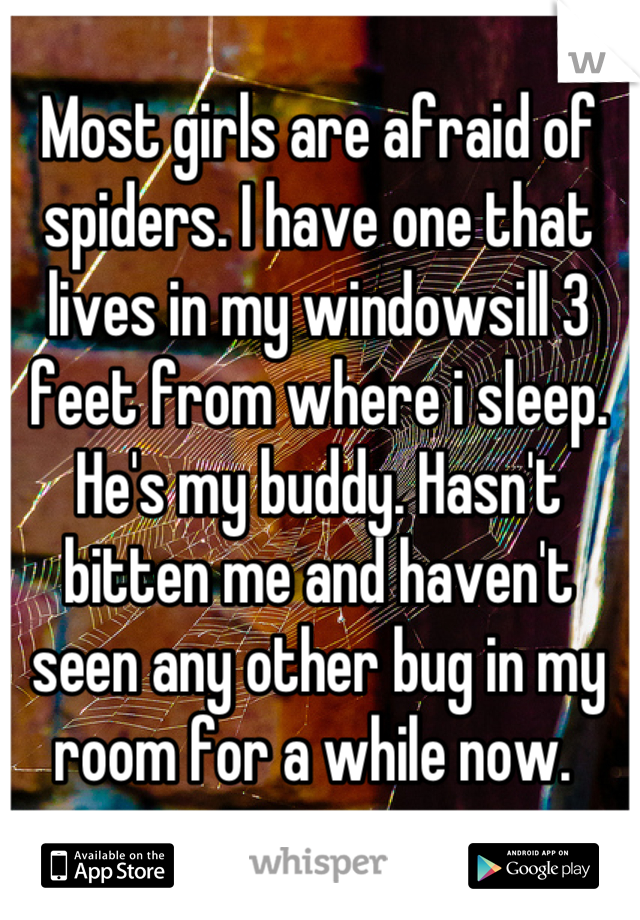 Most girls are afraid of spiders. I have one that lives in my windowsill 3 feet from where i sleep. He's my buddy. Hasn't bitten me and haven't seen any other bug in my room for a while now. 