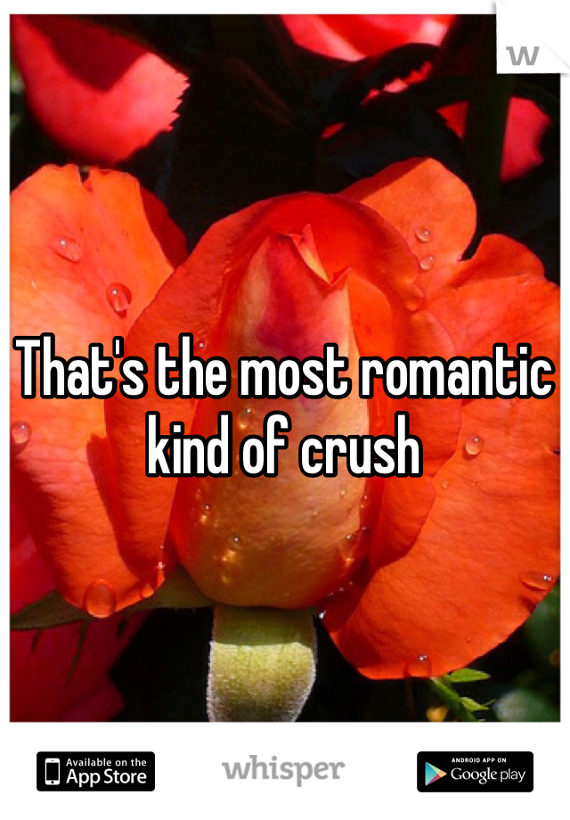 That's the most romantic kind of crush 