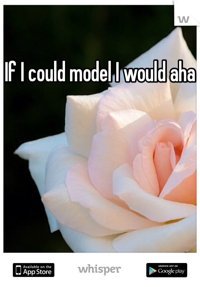 If I could model I would aha