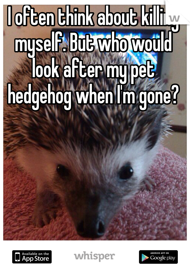 I often think about killing myself. But who would look after my pet hedgehog when I'm gone?