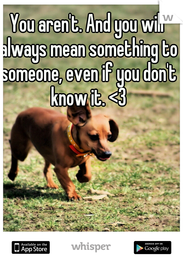 You aren't. And you will always mean something to someone, even if you don't know it. <3