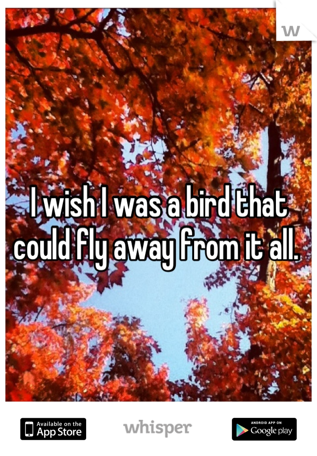 I wish I was a bird that could fly away from it all. 