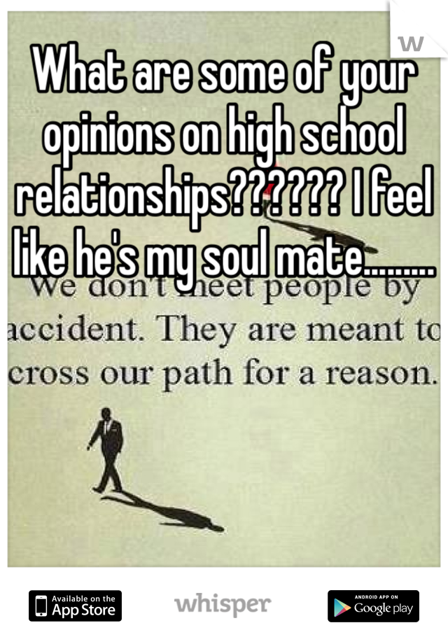 What are some of your opinions on high school relationships?????? I feel like he's my soul mate......... 