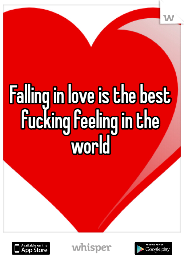 Falling in love is the best fucking feeling in the world 