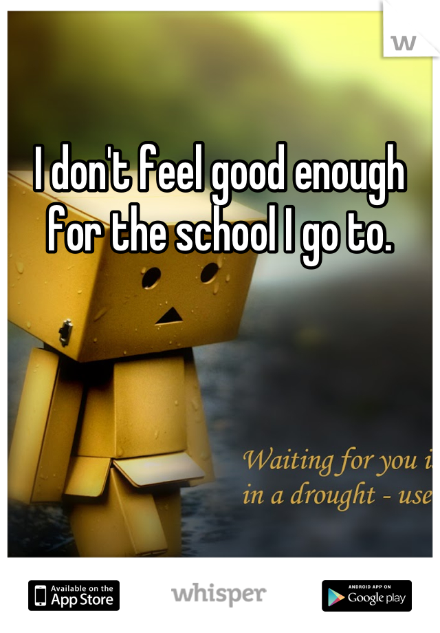 I don't feel good enough for the school I go to.
