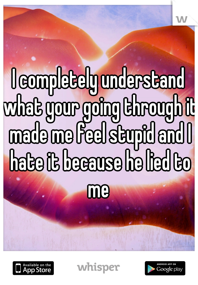 I completely understand what your going through it made me feel stupid and I hate it because he lied to me 