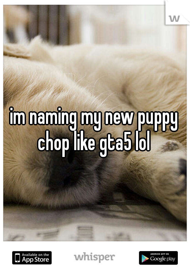 im naming my new puppy chop like gta5 lol 