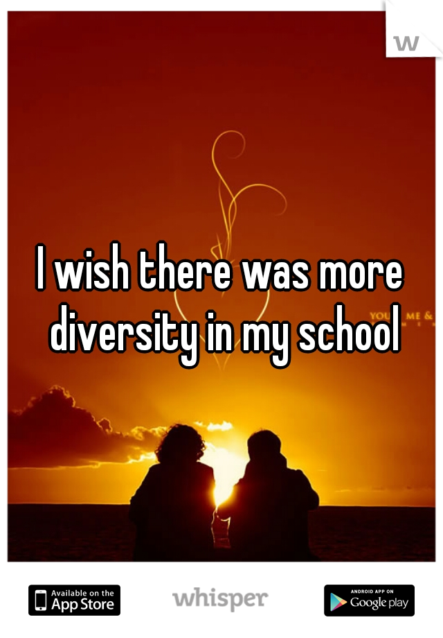 I wish there was more diversity in my school