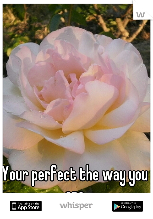 Your perfect the way you are.