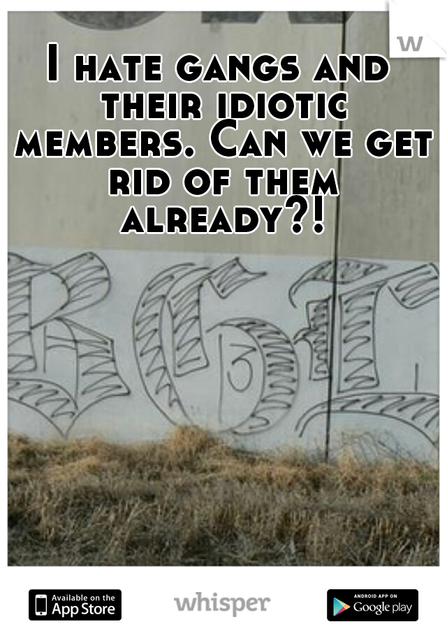 I hate gangs and their idiotic members. Can we get rid of them already?!