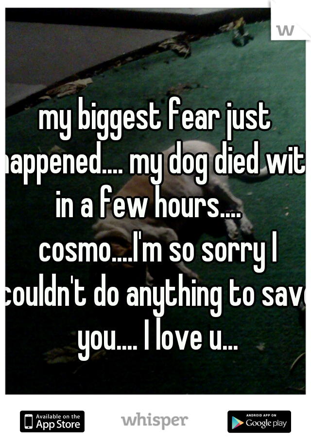 my biggest fear just happened.... my dog died with in a few hours....    cosmo....I'm so sorry I couldn't do anything to save you.... I love u...