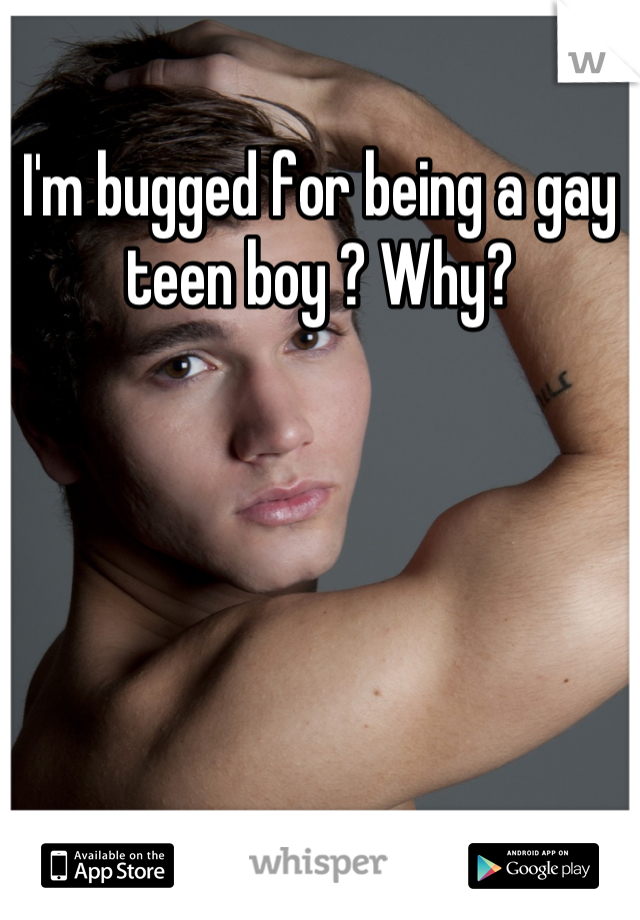 I'm bugged for being a gay teen boy ? Why?