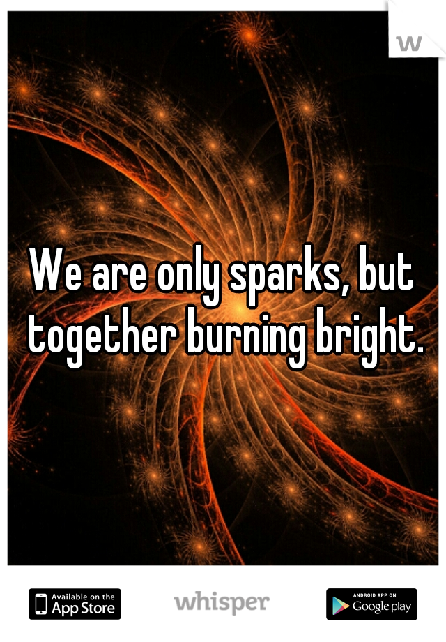 We are only sparks, but together burning bright.