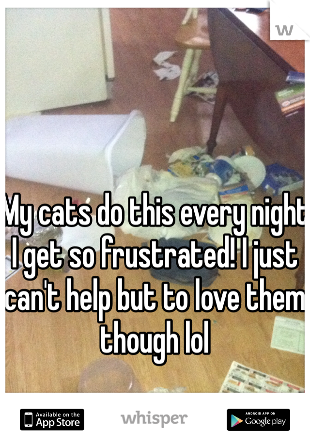 
My cats do this every night I get so frustrated! I just can't help but to love them though lol