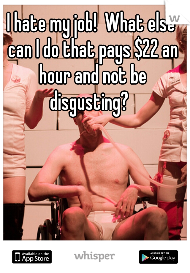 I hate my job!  What else can I do that pays $22 an hour and not be disgusting?  
