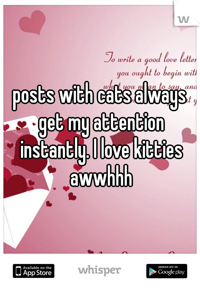 posts with cats always get my attention instantly. I love kitties awwhhh