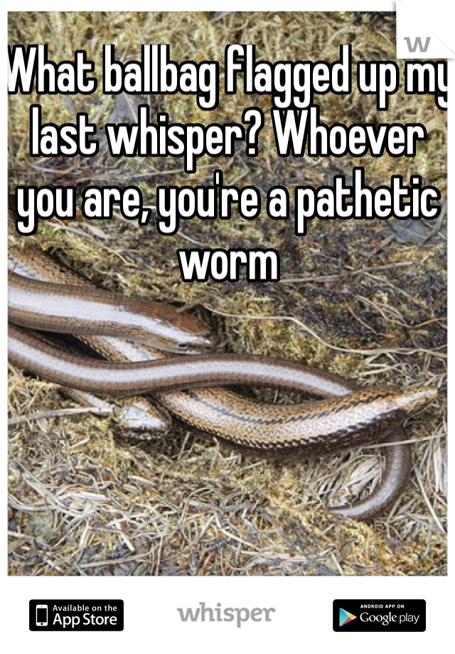 What ballbag flagged up my last whisper? Whoever you are, you're a pathetic worm