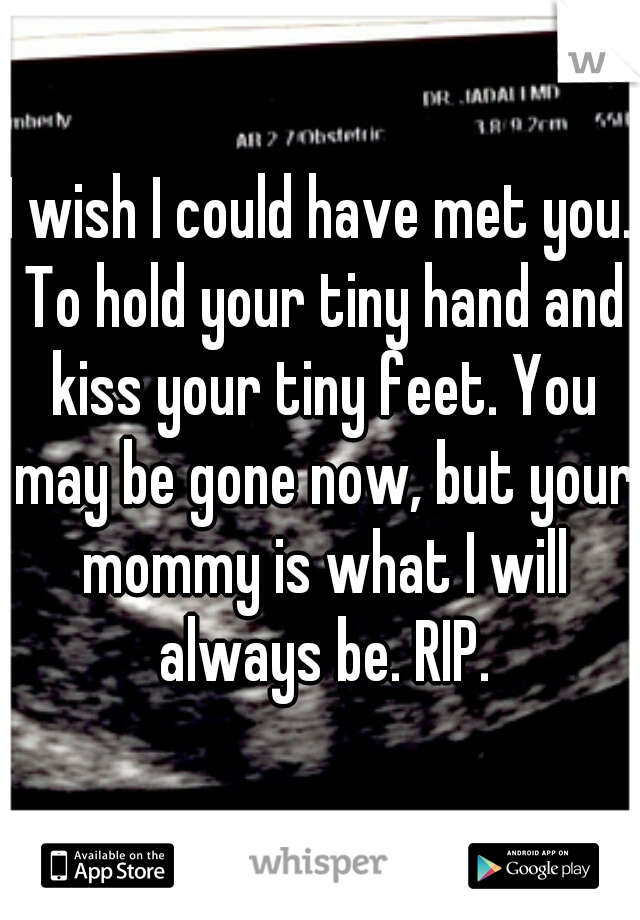 I wish I could have met you. To hold your tiny hand and kiss your tiny feet. You may be gone now, but your mommy is what I will always be. RIP.