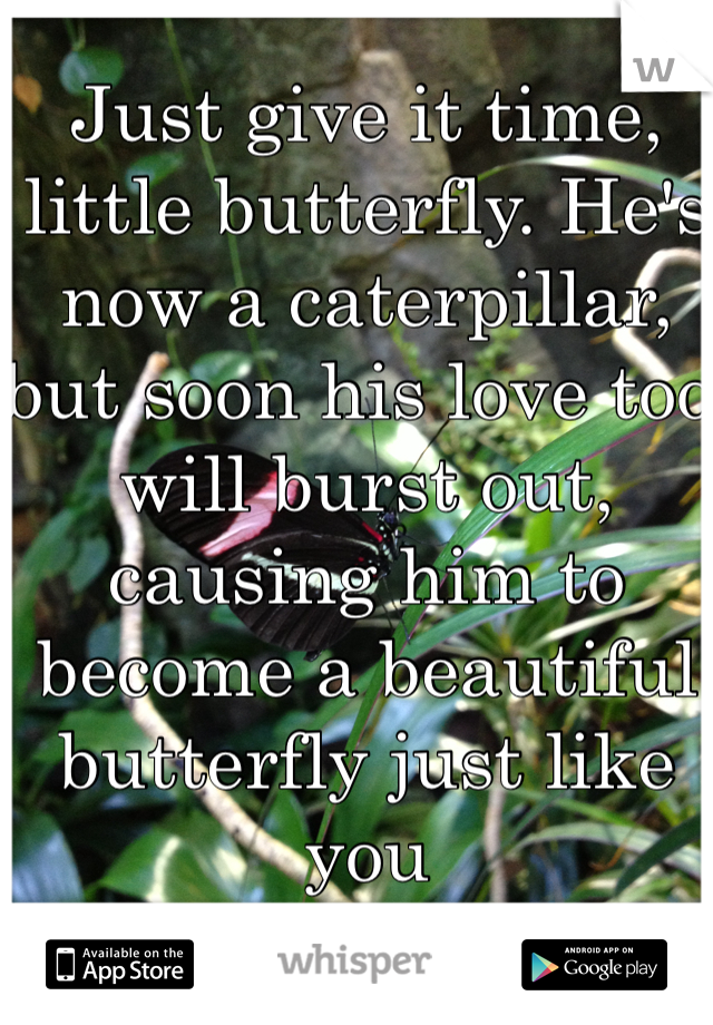 Just give it time, little butterfly. He's now a caterpillar, but soon his love too will burst out, causing him to become a beautiful butterfly just like you
