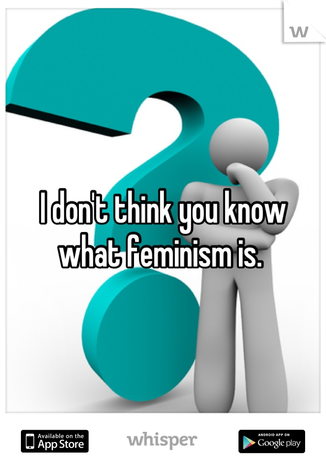 I don't think you know what feminism is. 