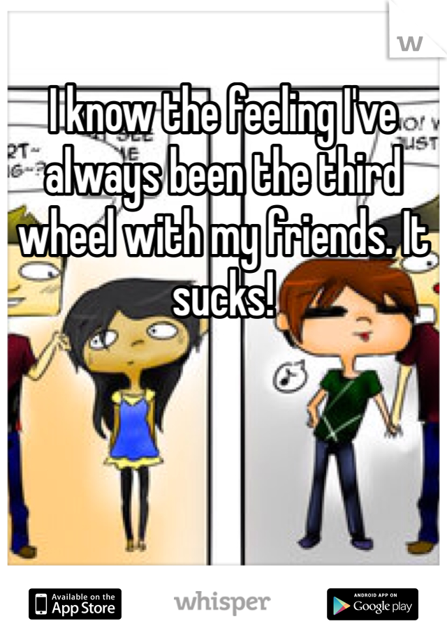 I know the feeling I've always been the third wheel with my friends. It sucks! 