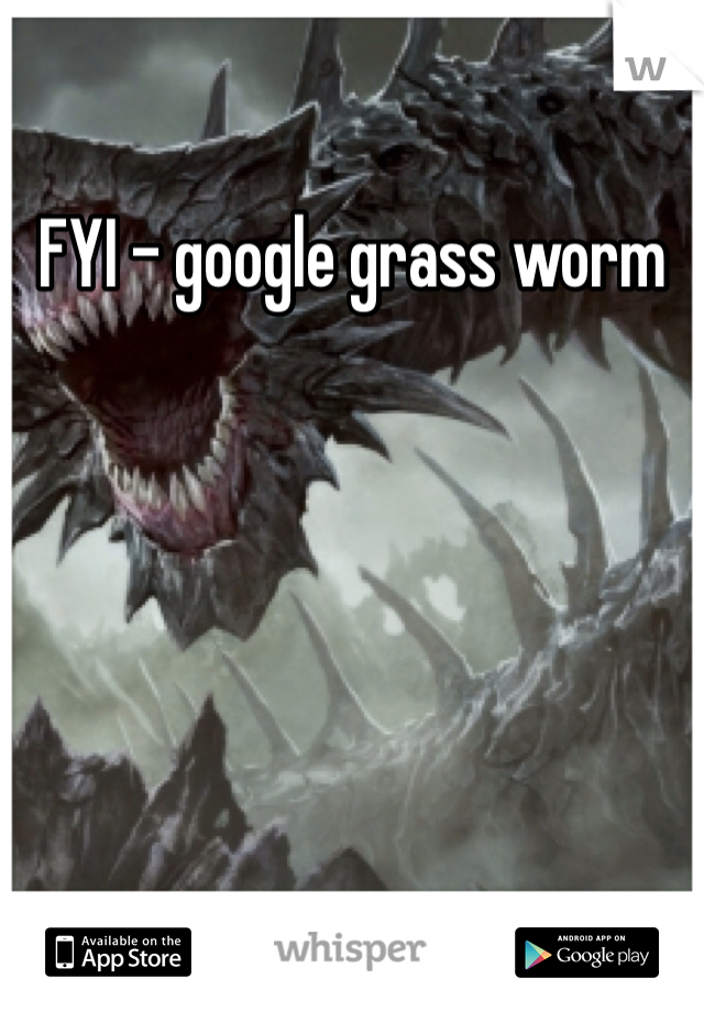 FYI - google grass worm