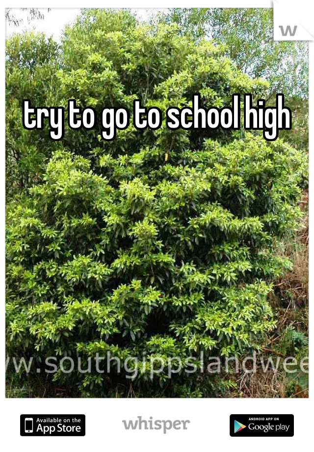 try to go to school high