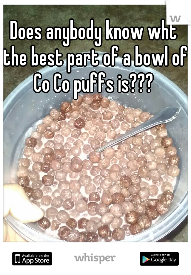 Does anybody know wht the best part of a bowl of Co Co puffs is??? 