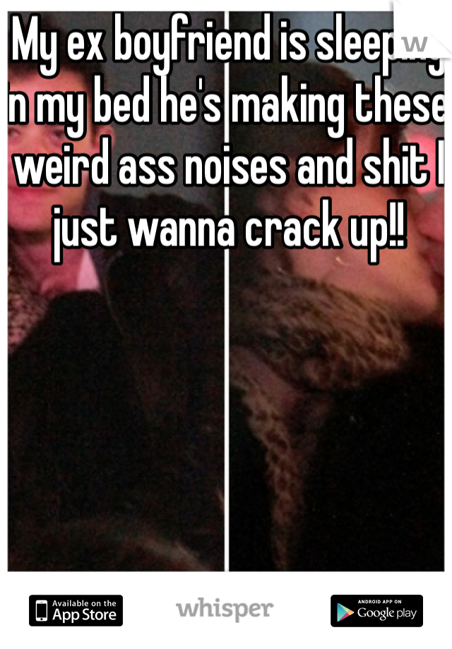 My ex boyfriend is sleeping in my bed he's making these weird ass noises and shit I just wanna crack up!!