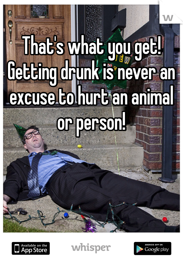 That's what you get! Getting drunk is never an excuse to hurt an animal or person! 