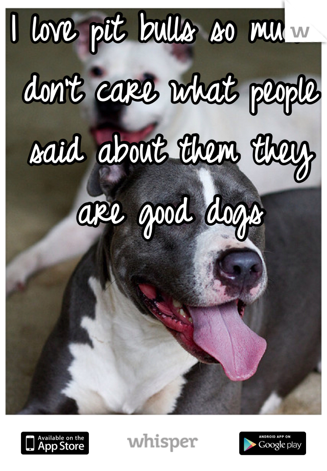 I love pit bulls so much I don't care what people said about them they are good dogs 