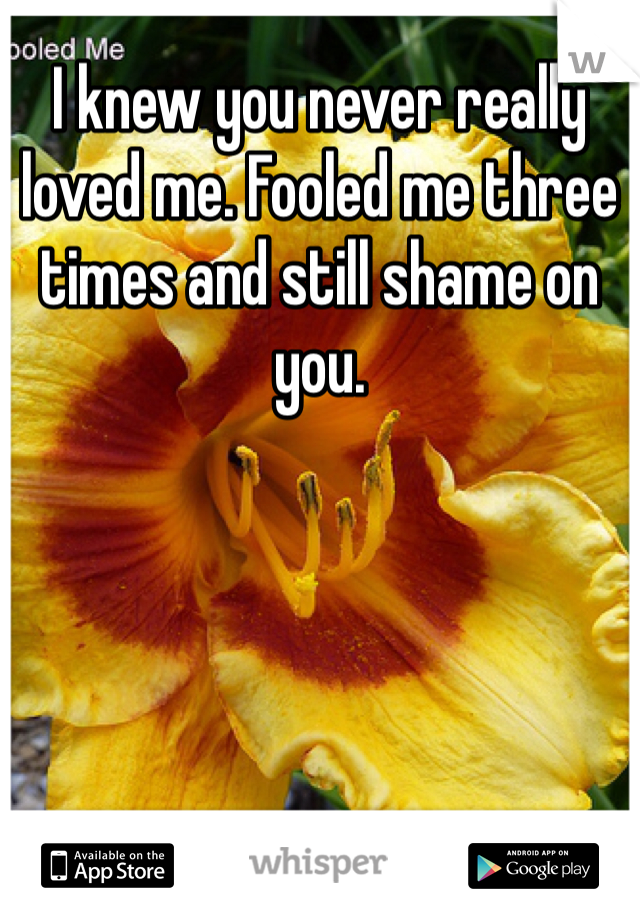 I knew you never really loved me. Fooled me three times and still shame on you.