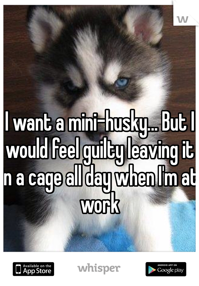 I want a mini-husky... But I would feel guilty leaving it in a cage all day when I'm at work