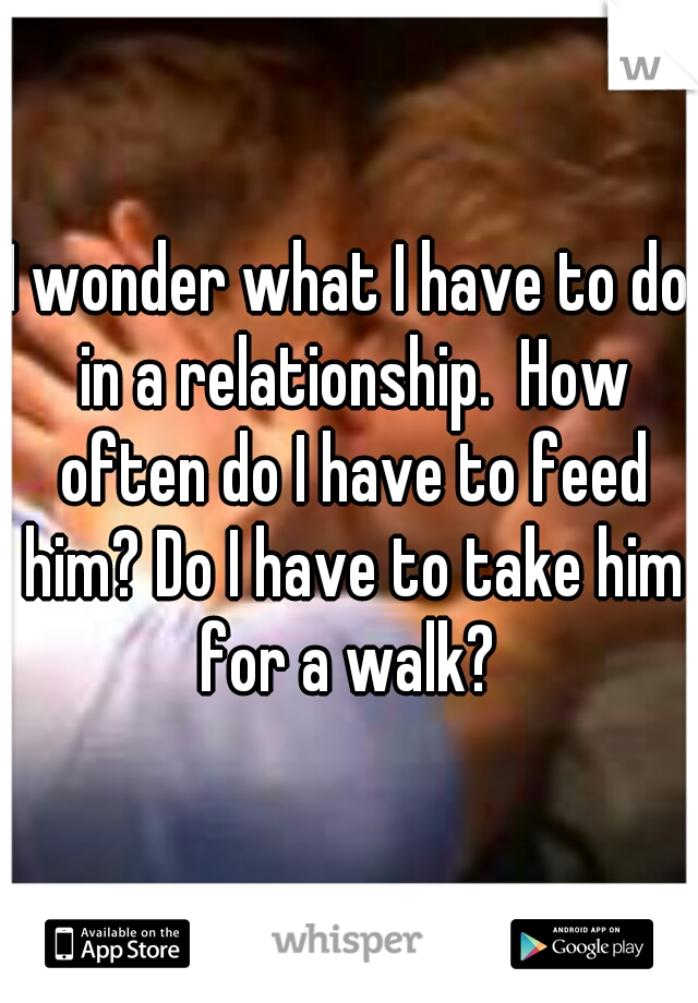 I wonder what I have to do in a relationship.  How often do I have to feed him? Do I have to take him for a walk? 