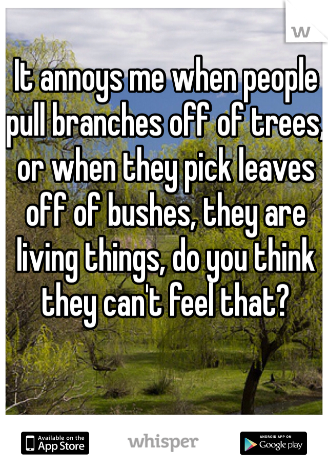 It annoys me when people pull branches off of trees, or when they pick leaves off of bushes, they are living things, do you think they can't feel that?
