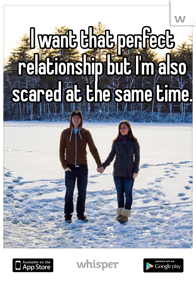 I want that perfect relationship but I'm also scared at the same time.