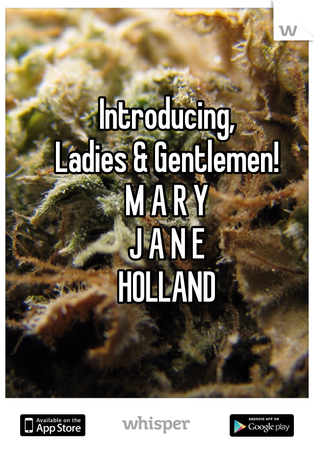 Introducing,
Ladies & Gentlemen!
M A R Y
J A N E
HOLLAND