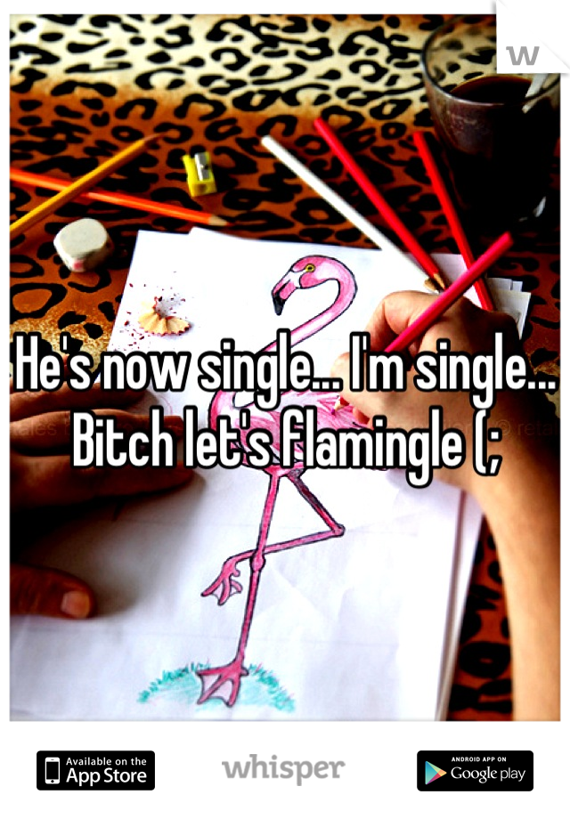 He's now single... I'm single... Bitch let's flamingle (;