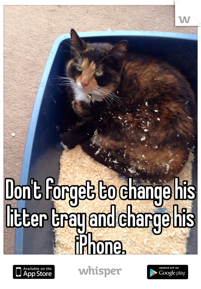 Don't forget to change his litter tray and charge his iPhone. 