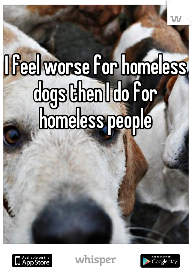 I feel worse for homeless dogs then I do for homeless people